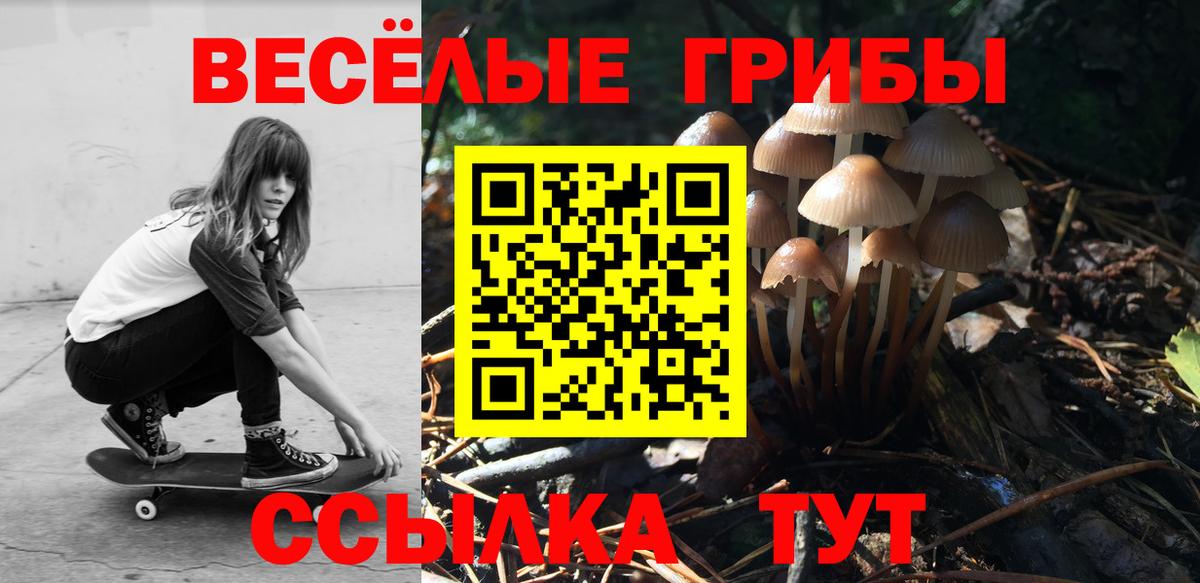 Галлюциногенные грибы GOLDEN TEACHER Ульяновск